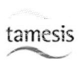 Tamesis